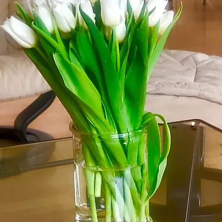 Smart&beautiful Deluxe Hotel *